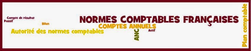 Formation Consolidation Comptable normes françaises